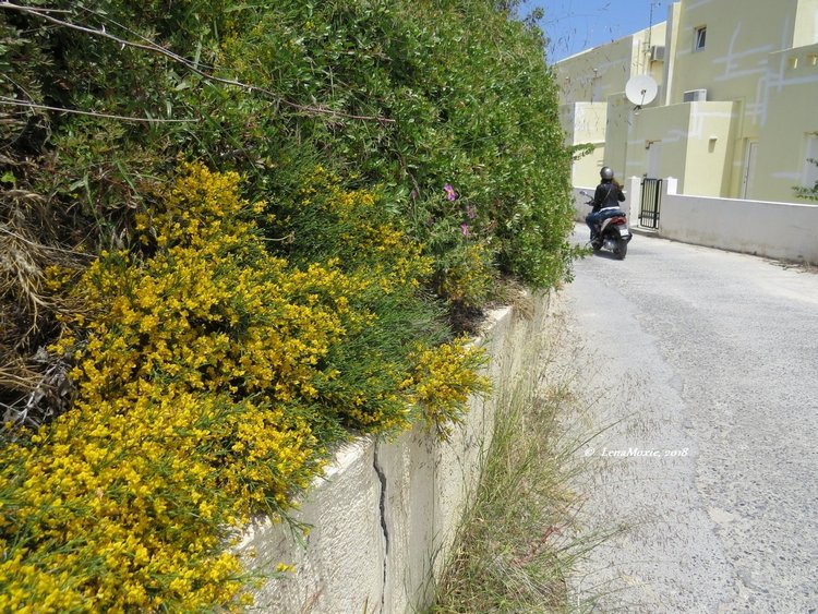 Kidz' тур. Нико на Крите. Херсониссос