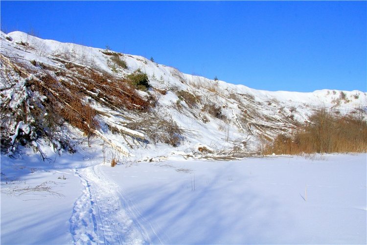 Зимняя прогулка Сони. Уникальная кукла от Сильвии Наттерер