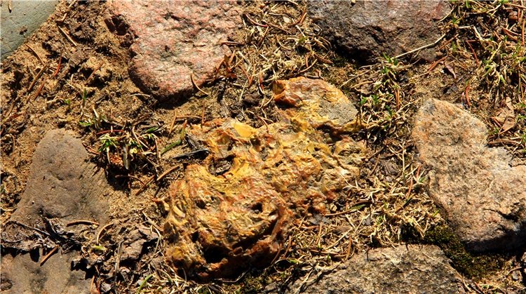 Апрельский день в Василёво, заключительная часть