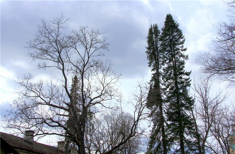 Усадьба Чукавино, Тверская область