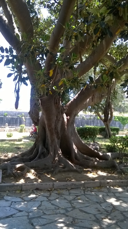 Керкира – город на изумрудном острове. (часть вторая)