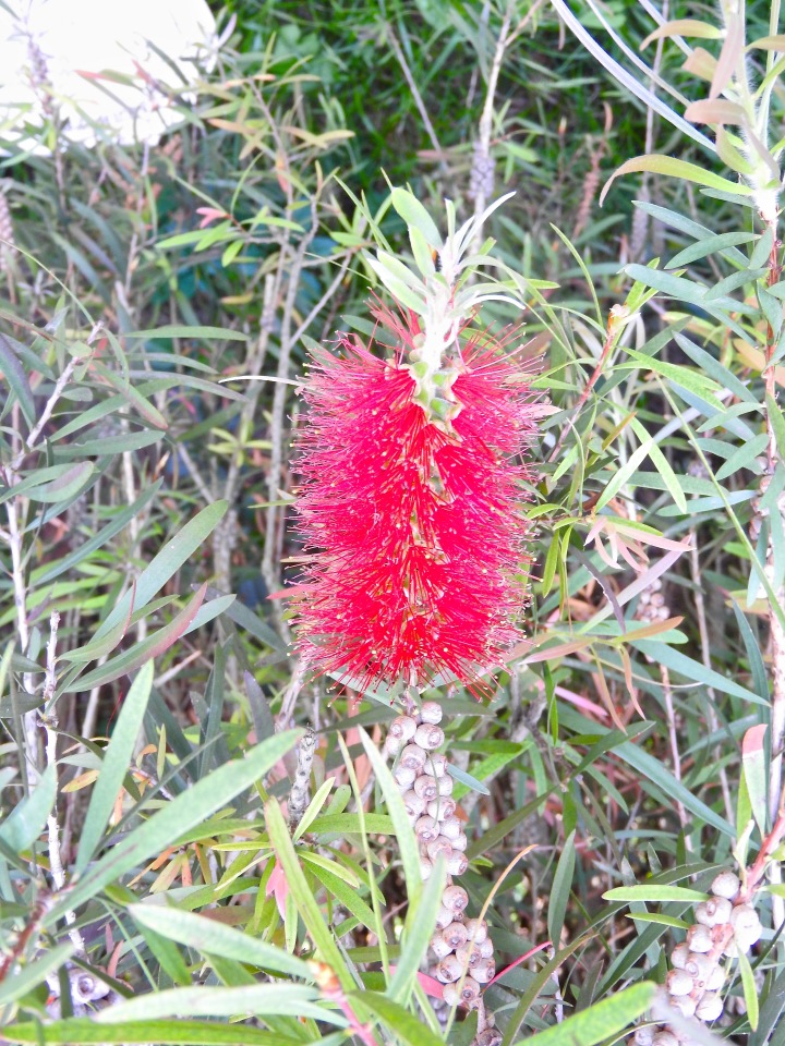 Краснодарский Край, Сочи-Адлер, Санаторий «Южное Взморье»