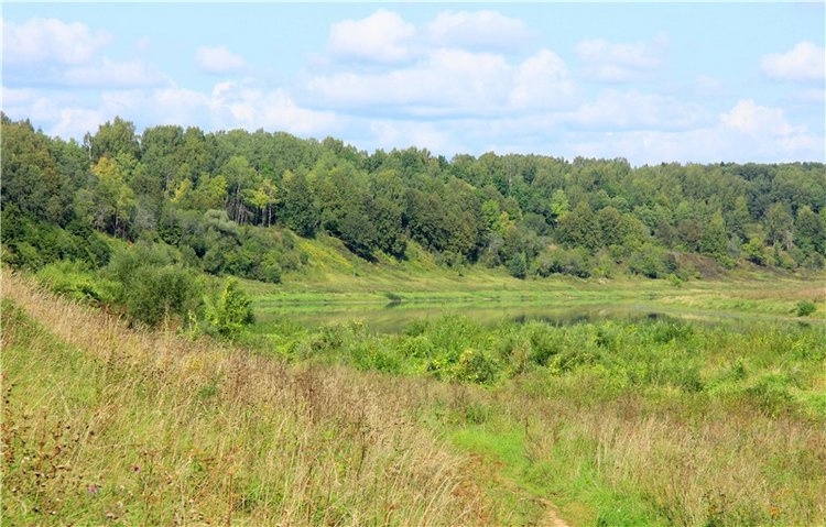 Старицкая Швейцария. Путешествие с Сашей, продолжение. Уникальная кукла от Сильвии Наттерер