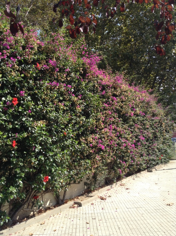 Путешествие Минуш в Испанию. Каталония. Ч.1. Рассвет над облаками. О-ла, Барселона