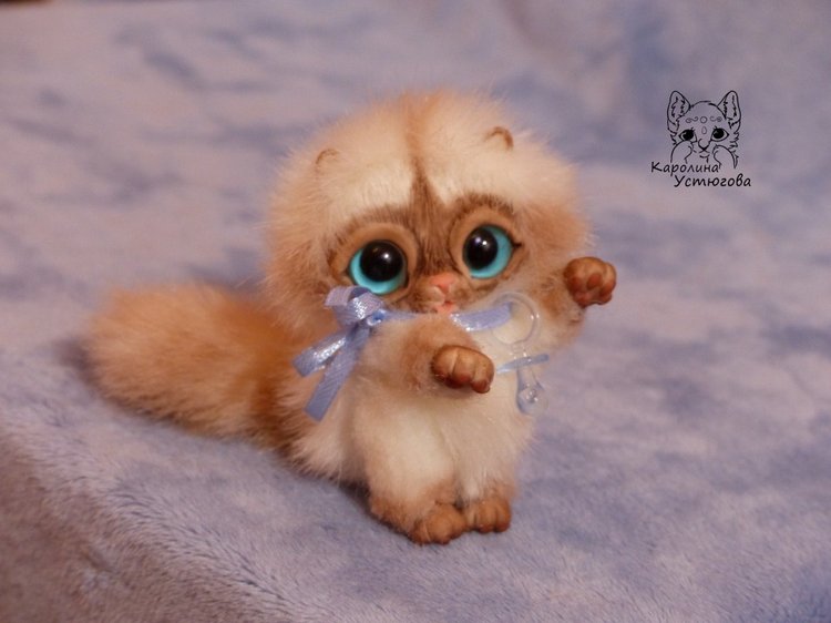 Сиамский котеночек-ребеночек