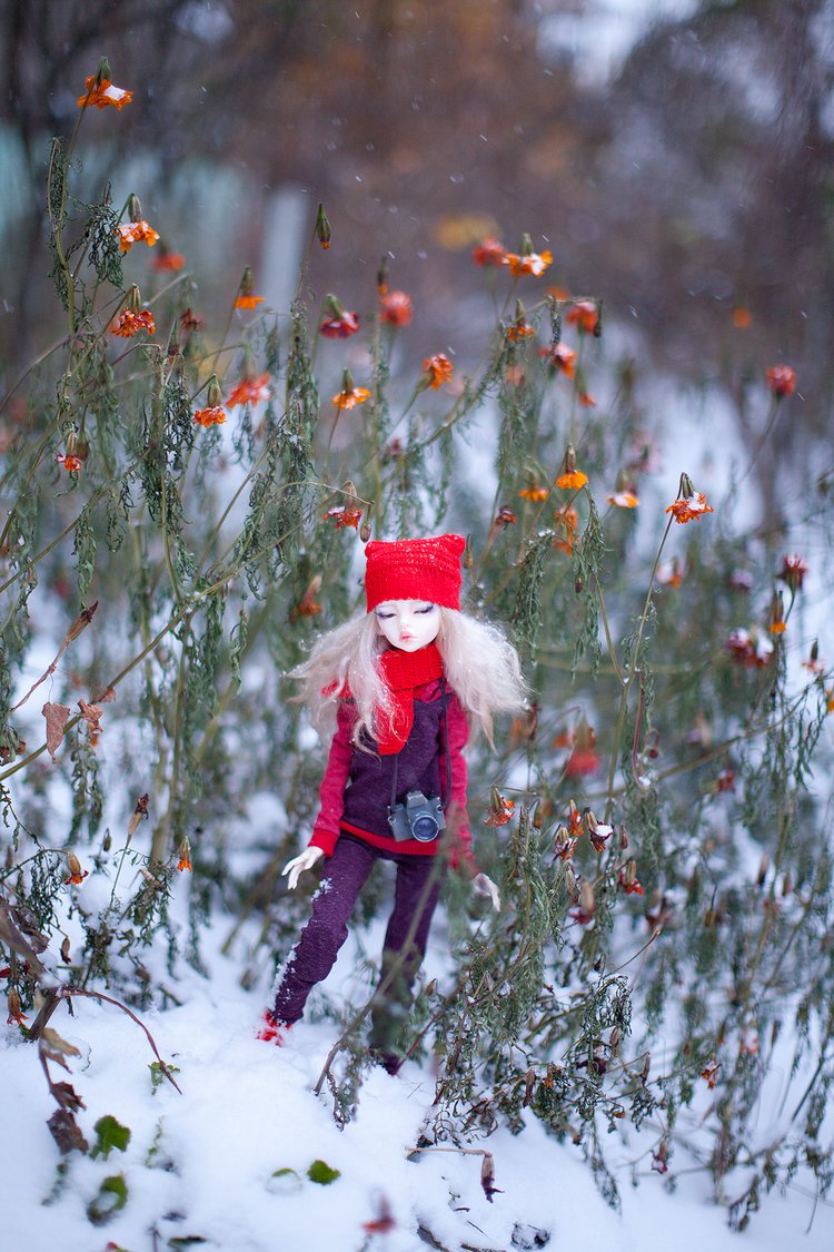 Когда хорошая погода — Куклы DIM (Doll in Mind): корейские BJD (БЖД) (фото 8)
