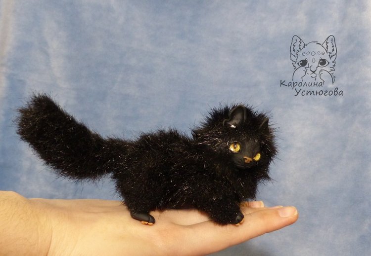 Кот породы Мейн-ку́н, черный. Я к удаче (фото 8)