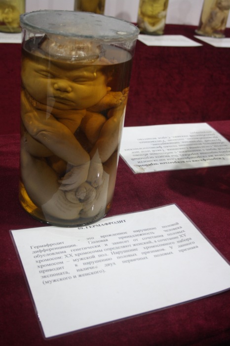 Псков: Петербургская Кунсткамера у нас в гостях. СТРОГО 18 +