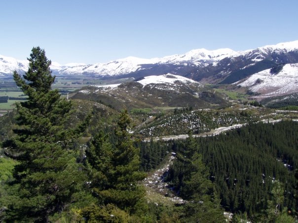 Увлекательное путешествие по Новой Зеландии (фото 8)