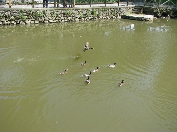 Незабываемая экскурсия по Словении: Постойная Яма и Предъямский замок