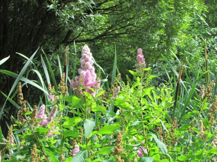 Моя кукольная семья на прогулке в Измайловском Парке