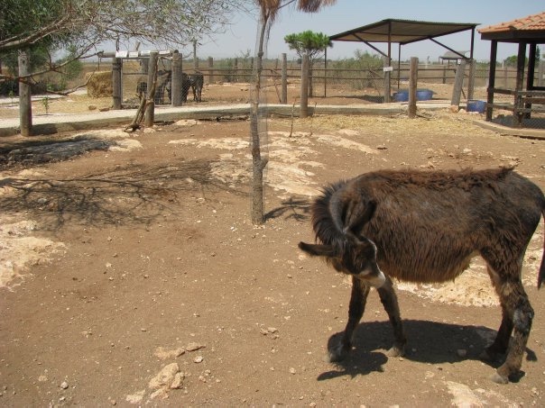 Путешествие на о. Кипр — Туризм и путешествия: фотоотчеты из поездок