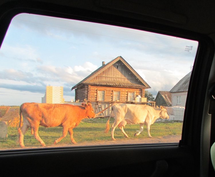 Путешествие в Нижегородскую область - часть 2 - Размещение в деревушке и прогулка по окресностям (фото 4)