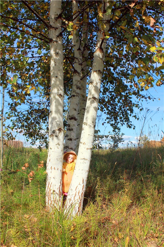 Странница во времени — Антикварные куклы Simon & Halbig (S&H): Симон Хальбиг