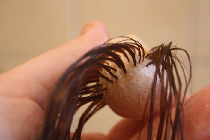 Откуда взялась Сандра — Перепрошивка волос и восстановление париков: МК (фото 2)