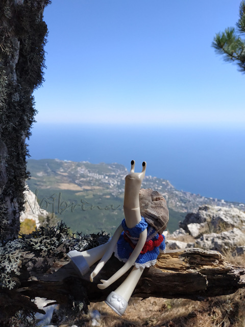 Wonderfrog. Красота в простоте. Часть 3