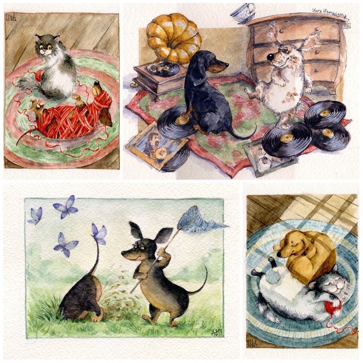 Предновогодние денёчки! Улыбнёмся вместе! Смешные таксы Инги smG