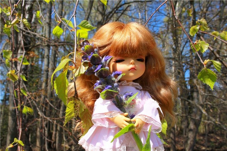 Путешествие Софи в Старицу, продолжение. Lati HoneyBee New Mystic Sophie