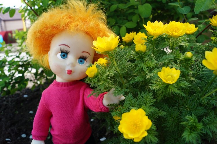 Вы любите топики про лечение кукол? Тогда вам сюда