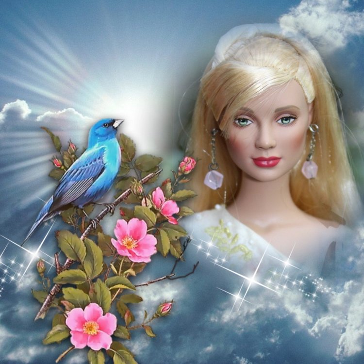 Мои Тоннерки. Фотозарисовки (фото 2)