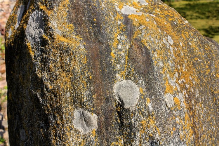 "Троицкие гуляния" в Василёво, 2019 год, заключительная часть. Архитектурно-этнографический музей под открытым небом Василёво