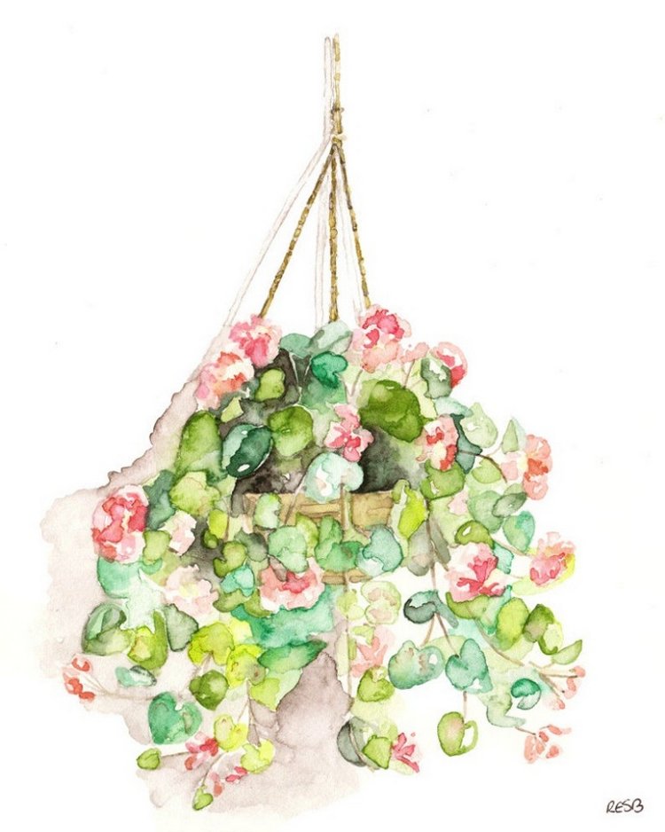 TheColorfulCatStudio - Иллюстрированная флора by Rachel Byler