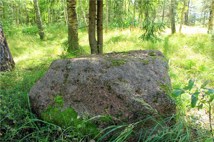 Августовское путешествие в "Сад Камней" | Бэйбики Августовское путешествие в "Сад Камней"