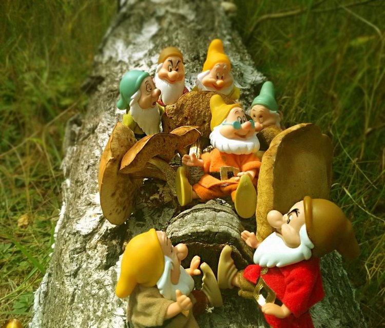 Осеннею порой под старою сосной... Принц, Белоснежка и гномы... встречаются