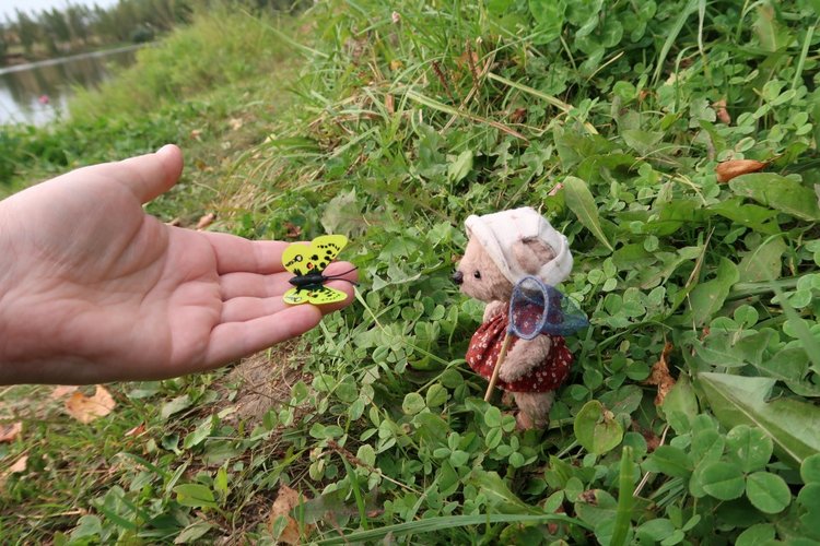 Знакомьтесь, новый вид медведей - медведь сумочный (фото 6)