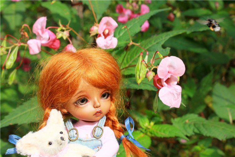 Сентябрьское путешествие в Старицу, четвёртая часть