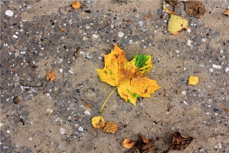 Сентябрьское путешествие в Старицу, заключительная часть