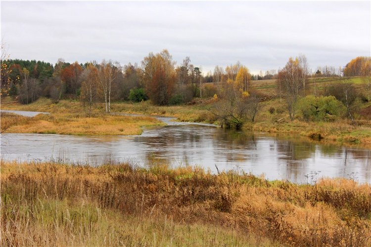 Имани на Тверце — Куклы Kaye Wiggs (Кайе Виггс): авторские BJD (БЖД)