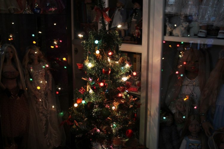 Бианка в Новогодний вечер (фото 2)