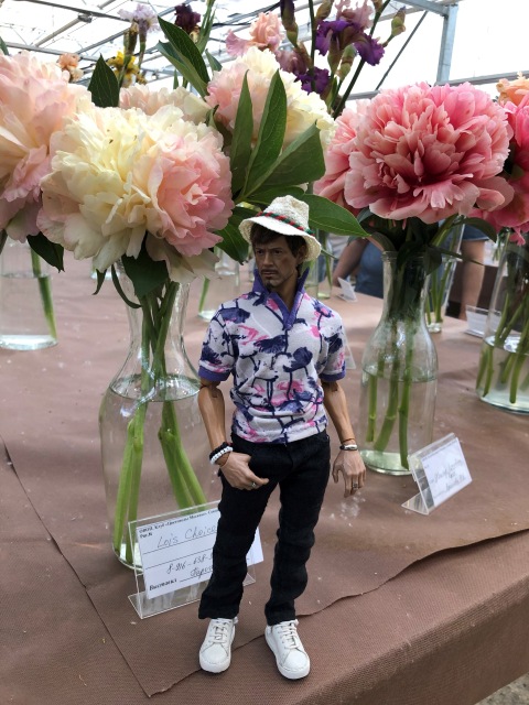 Тони Старк: приключения без брони. И снова Аптекарский огород | Бэйбики Тони Старк: приключения без брони. И снова Аптекарский огород