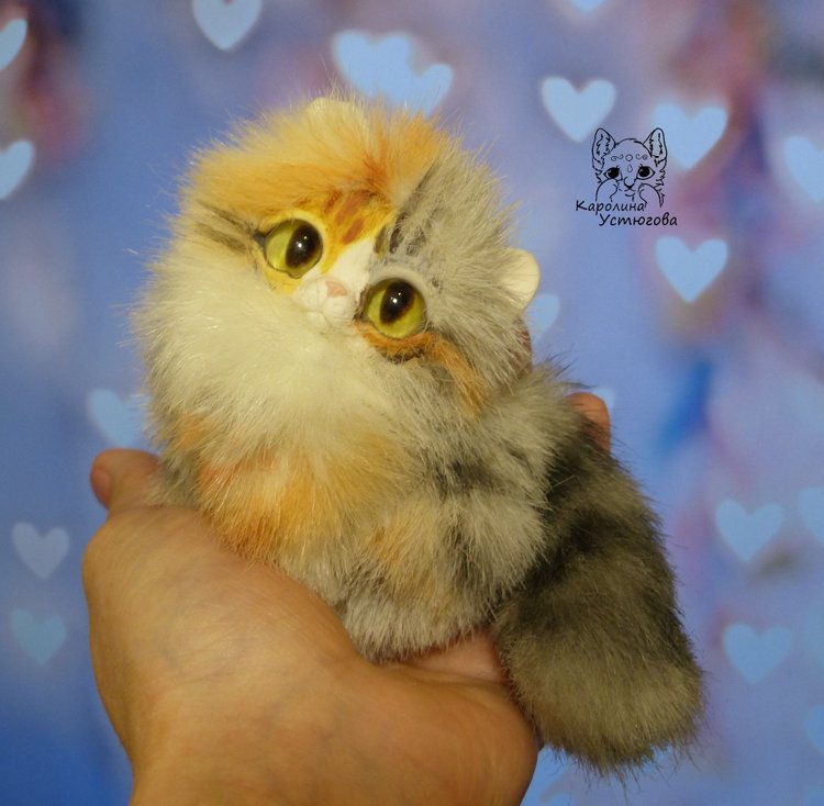Котята породы: Керл — Игрушки в смешанной технике (мех и глина): Арт (фото 7)