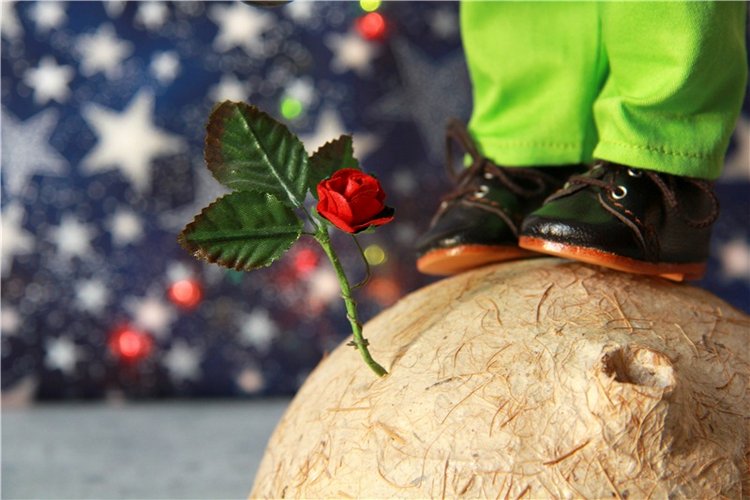 Кто тебя выдумал, Звёздная Страна? Studio Doll Little Prince, автор Sylvia Natterer