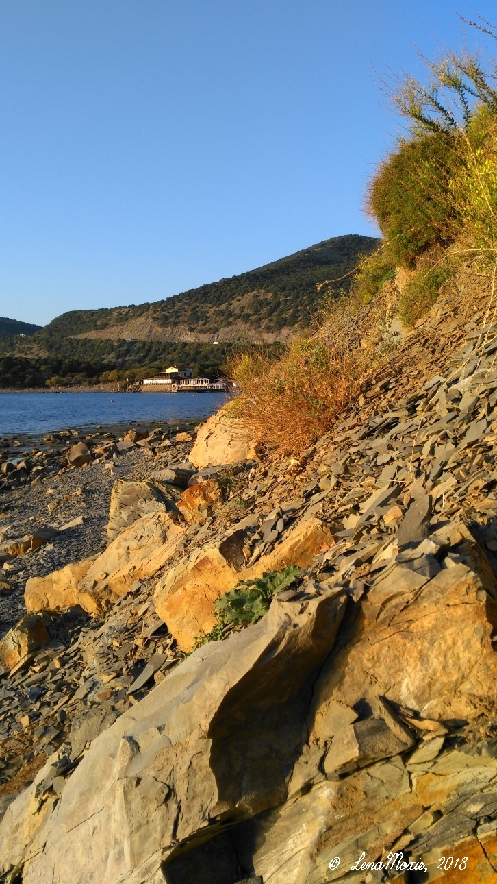 Kidz' тур. Юлино лето — Куклы Kidz'n'Cats (Соня Хартман): шарнирные 46 см (фото 9)