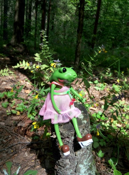 Добро пожаловать в удивительный мир Ванды