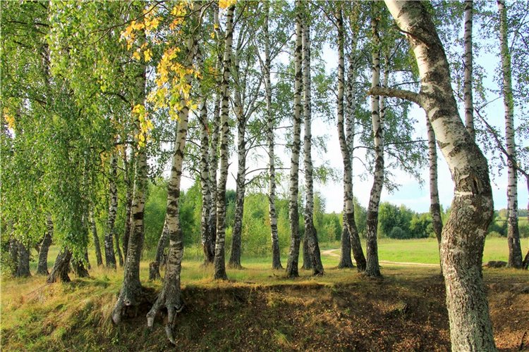 Старицкая Швейцария. Старицкие пещеры, д. Толпино