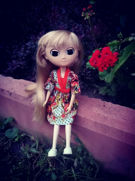 Неподражаемые Муф — Азиатские виниловые куклы (разное): Китай