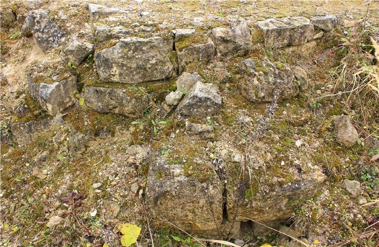 Осеннее путешествие с Мишей. Zwergnase Mischa | Бэйбики Осеннее путешествие с Мишей. Zwergnase Mischa