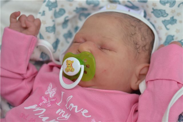 Мои новорожденные малыши. Кукла реборн | Бэйбики Мои новорожденные малыши. Кукла реборн (фото 8)