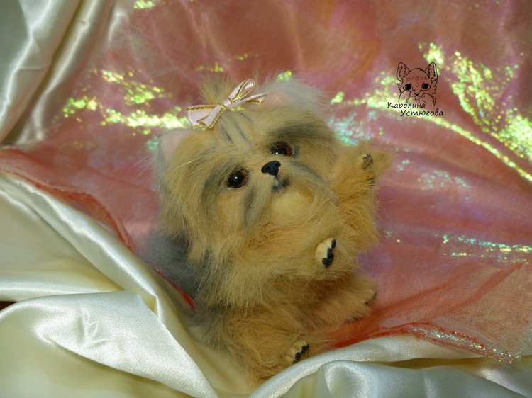 Еще один щенок Йоркширского терьера (фото 2)