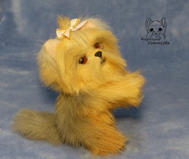 Щенок Йоркширского терьера (фото 5)