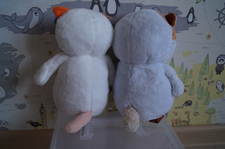 Как Агаша кошечку шила — Другие хобби и увлечения: сад