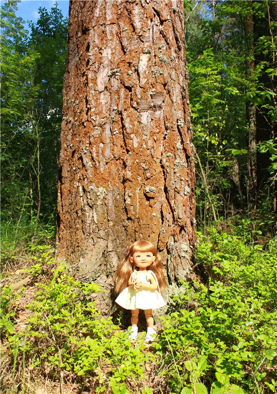 Малиновый Июнь, продолжение. BJD Gigi от Meadow Dolls