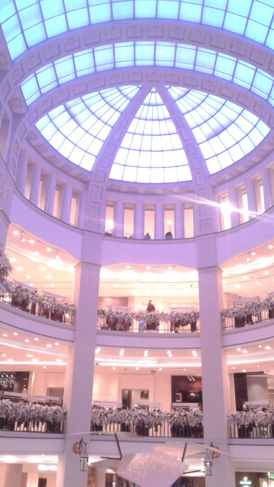 Предновогодний Петербург 2019, прогулка по Невскому проспекту