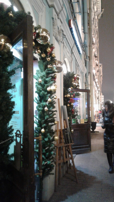 Предновогодний Петербург 2019, прогулка по Невскому проспекту (фото 6)