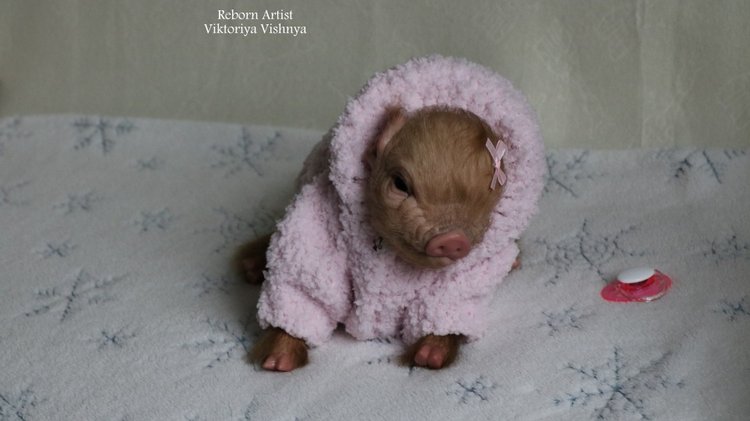 Поросенок Мила... куколка реборн Виктории Вишни