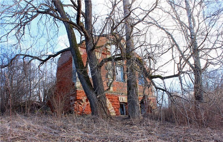 Тверской "Луксор" — Куклы Meadow dolls (Медовушки): BJD (БЖД)